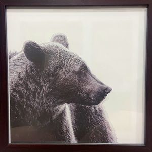 Bear print from Indigo